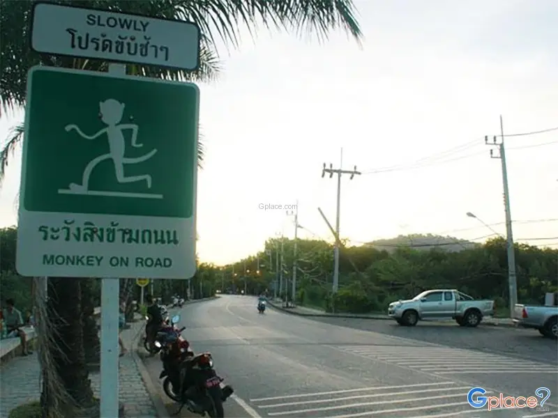 บ้านแหลมตุ๊กแก 05